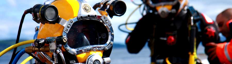 Professional Diving Academy